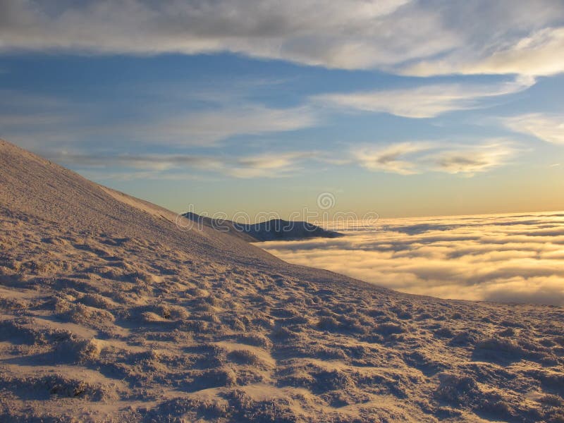 Golden snow at dusk