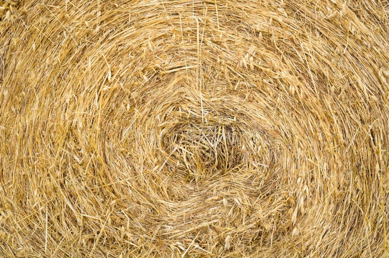 Agriculture Farming Straw Roll Background Texture Stock Image - Image ...