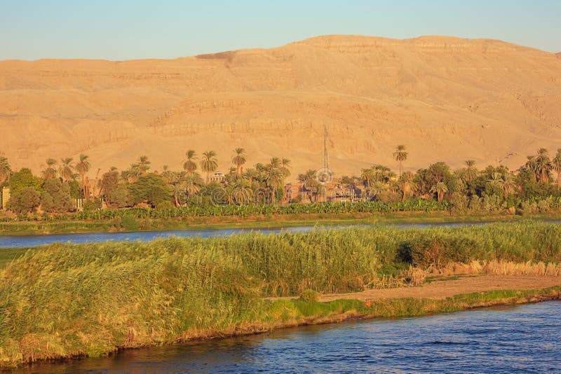 Golden sunrays on the banks of the Nile royalty free stock image Golden sunrays on the banks of the Nile royalty free stock image
