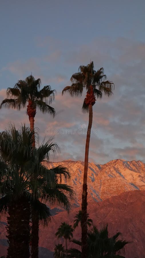 Golden Sunrise in Palm Springs stock photos Golden Sunrise in Palm Springs stock photos