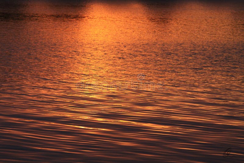 Golden Sunset Abstract