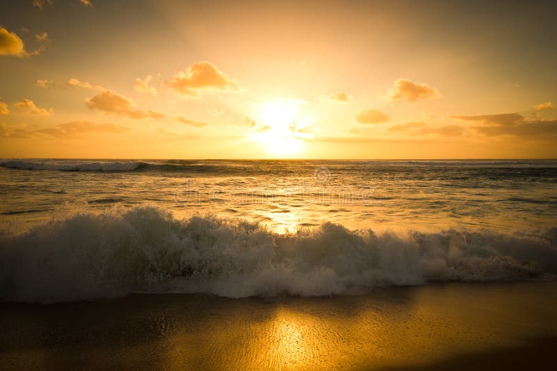 Golden sunset and a crashing wave royalty free stock images