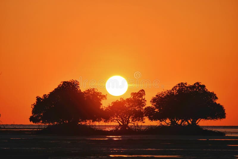 Golden East Coast Florida Sunrise Stock Photo - Image of coast, beach ...