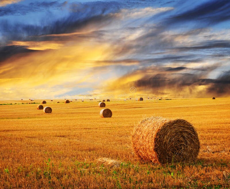 golden autumn golden autumn