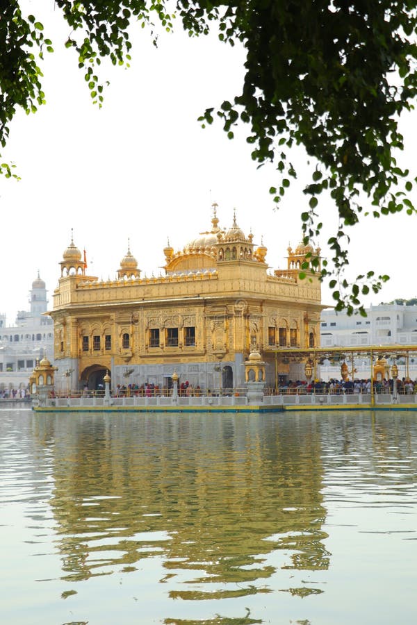Golden Temple in Amritsar. India. Editorial Stock Photo - Image of  beautiful, darbar: 148256943