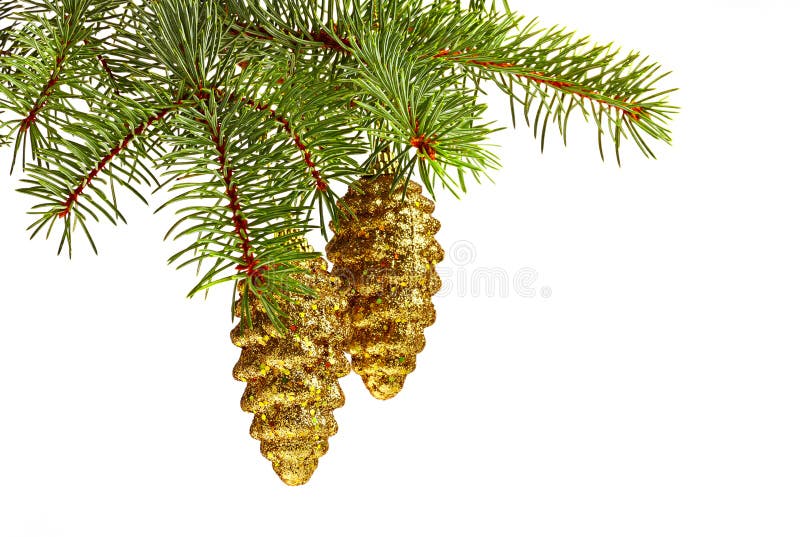 Golden toy fir cones and christmas tree