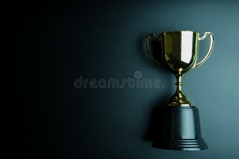 2020 Black Backdrop Trophy Award 8.75" Free p&p & Engraving 