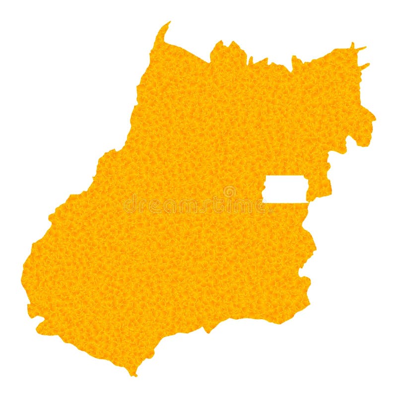 Golden Vector Map of Goias State stock illustration