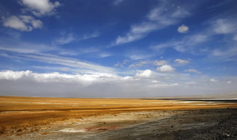 Golden yellow prairie and blue color sky in autumn