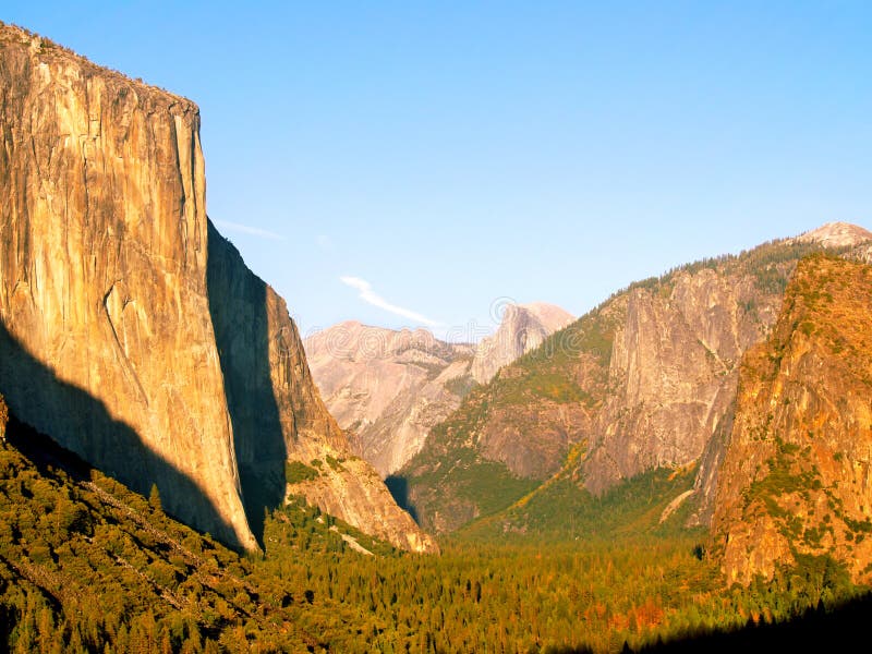 Golden Yosemite