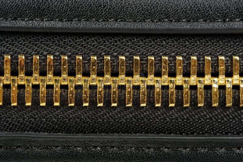 Golden Zipper Close-Up
