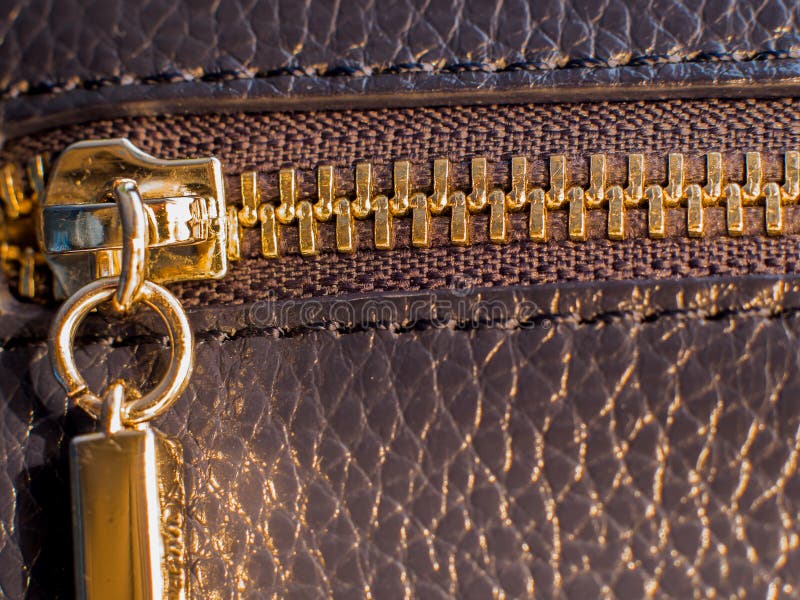 Golden zipper stock photo. Image of unzipped, clodes, metaphor 7141654