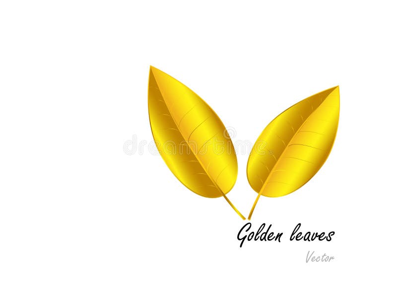 Goldene Blätter auf weißem Hintergrund Auch im corel abgehobenen Betrag stock abbildung