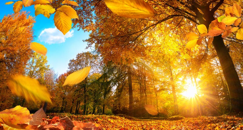 Goldene Herbstszene mit fallenden Blättern