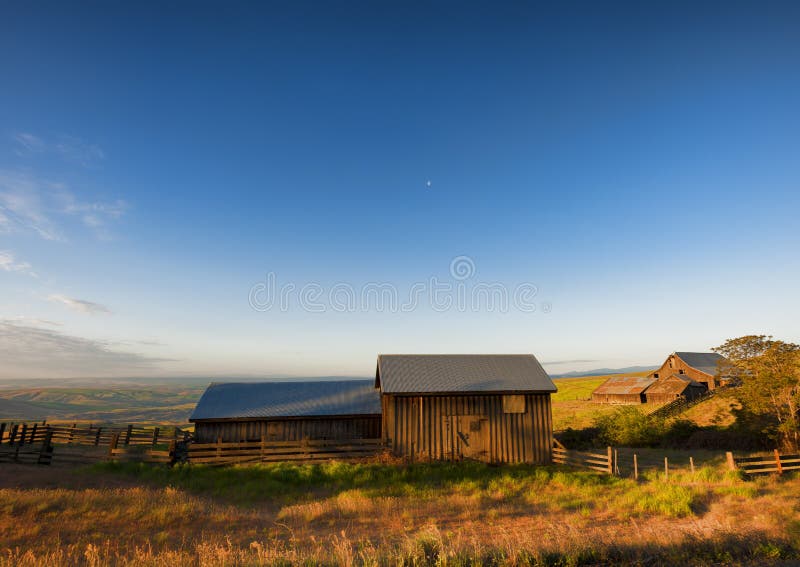 Goldene Stunde bei Dallas Mountain Ranch an Columbia- Hillsstaat lizenzfreie stockfotos Goldene Stunde bei Dallas Mountain Ranch an Columbia- Hillsstaat lizenzfreie stockfotos