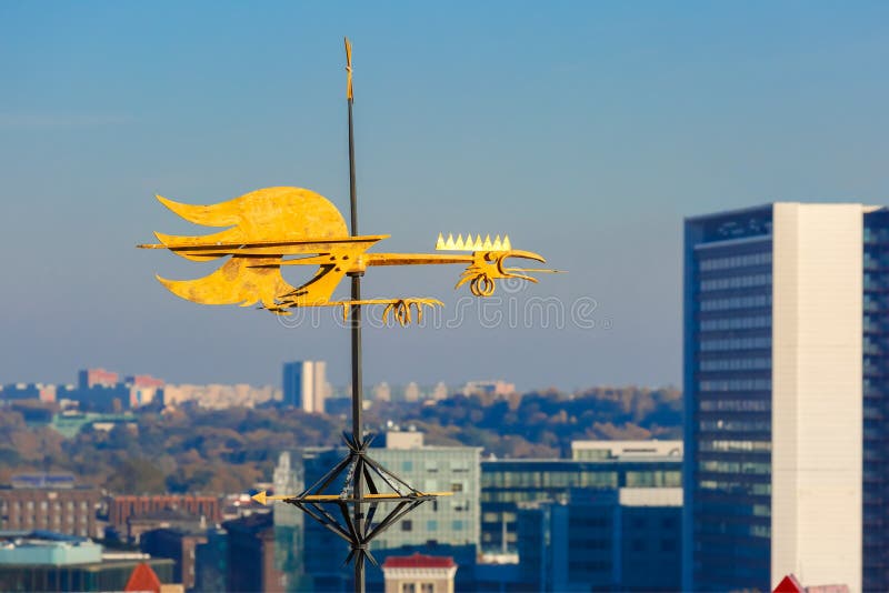 Goldene Wetterfahne des jungen Hahns von Tallinn, Estland lizenzfreies stockbild Goldene Wetterfahne des jungen Hahns von Tallinn, Estland lizenzfreies stockbild