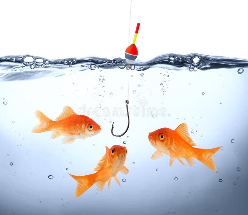 Goldfisch Der Gefahr Fotos Kostenlose Und Royalty Free Stock Fotos Von Dreamstime