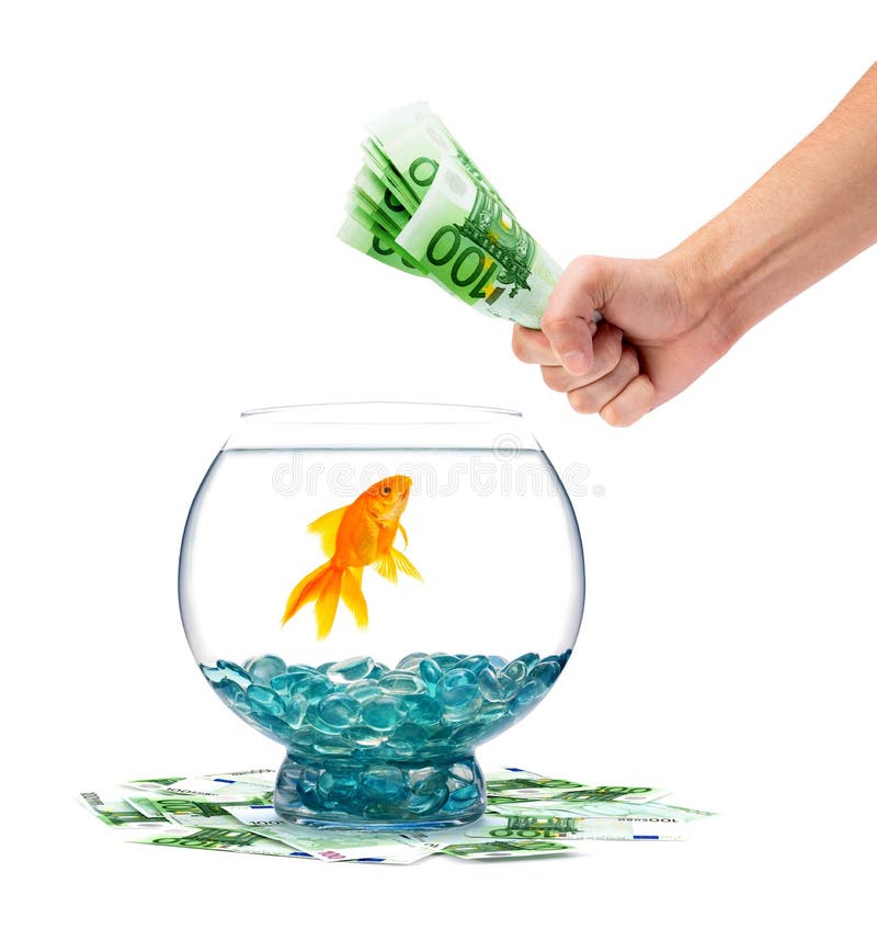 goldfish free coins goldfish free coins