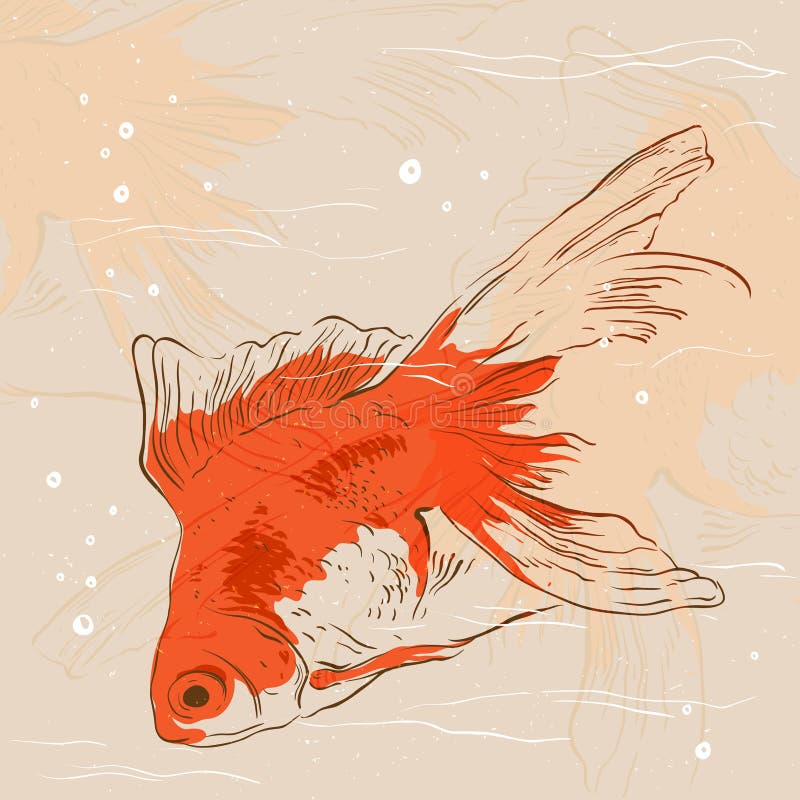 Goldfish