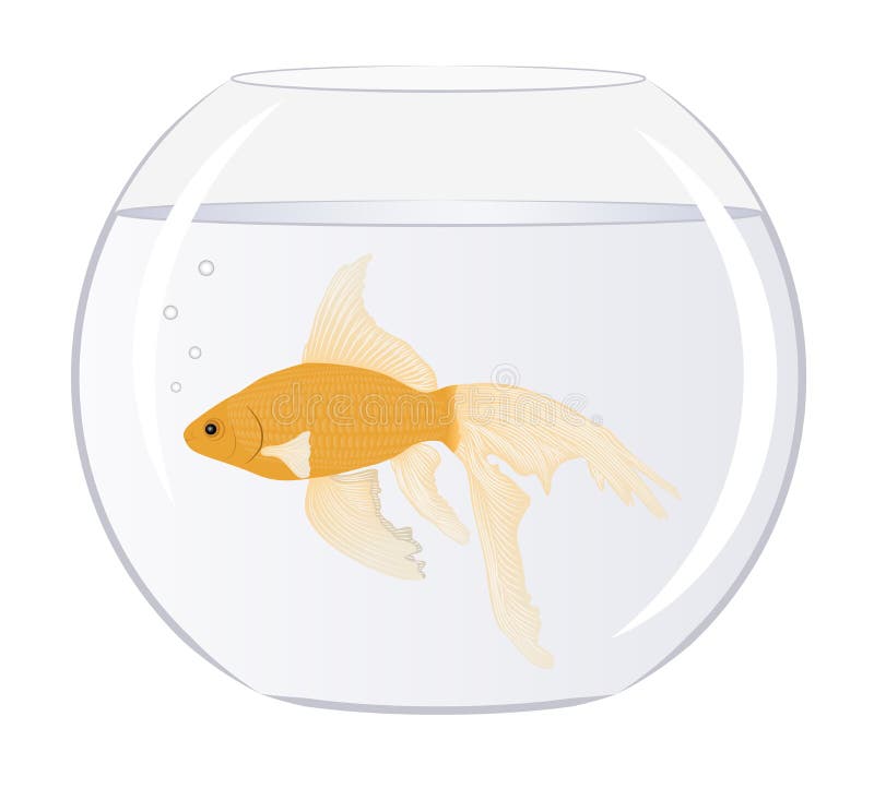 Goldfish en el tazón de fuente con las burbujas