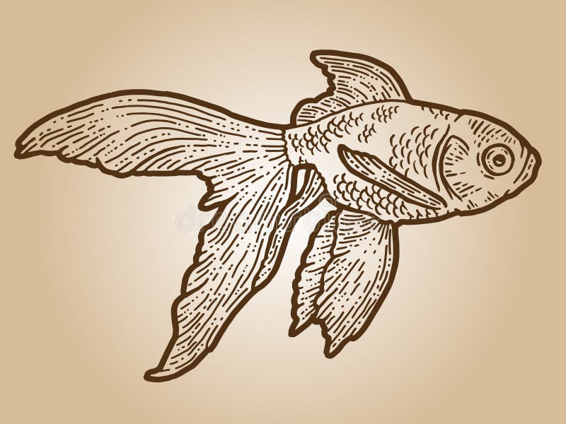 Goldfish. Engraving Sketch Scratch Board Imitation. Sepia Hand Drawn