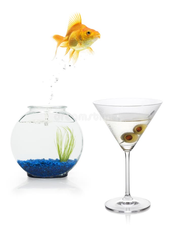 A goldfish leaping from a fishbowl into a martini. Contrast enhanced stock images, royalty-free photos and pictures