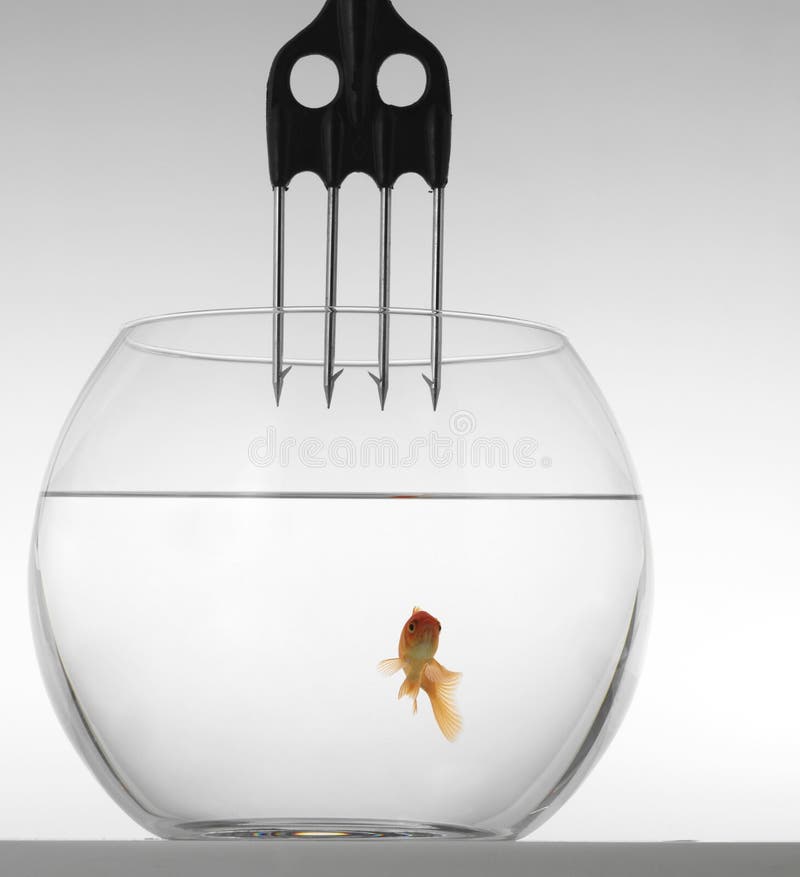 Goldfish with a fork
