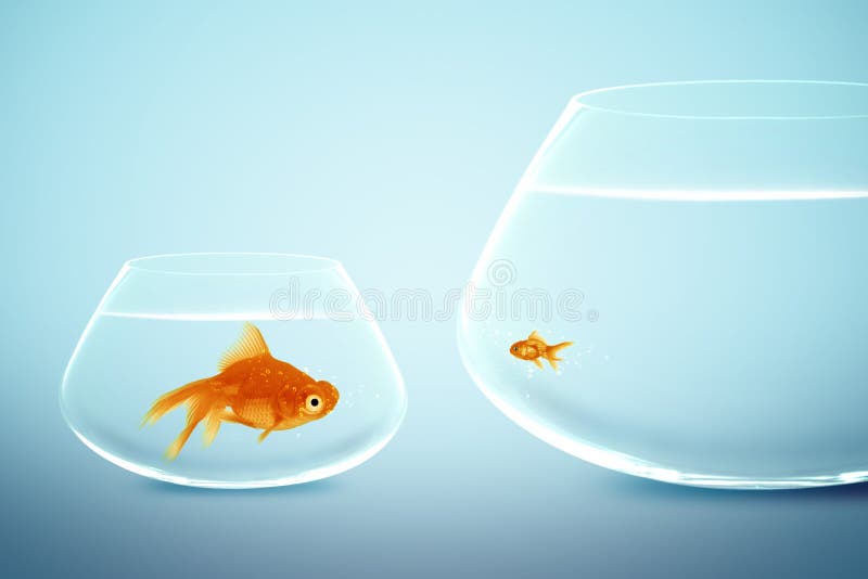 Goldfish grande e pequeno fotografia de stock royalty free Goldfish grande e pequeno fotografia de stock royalty free