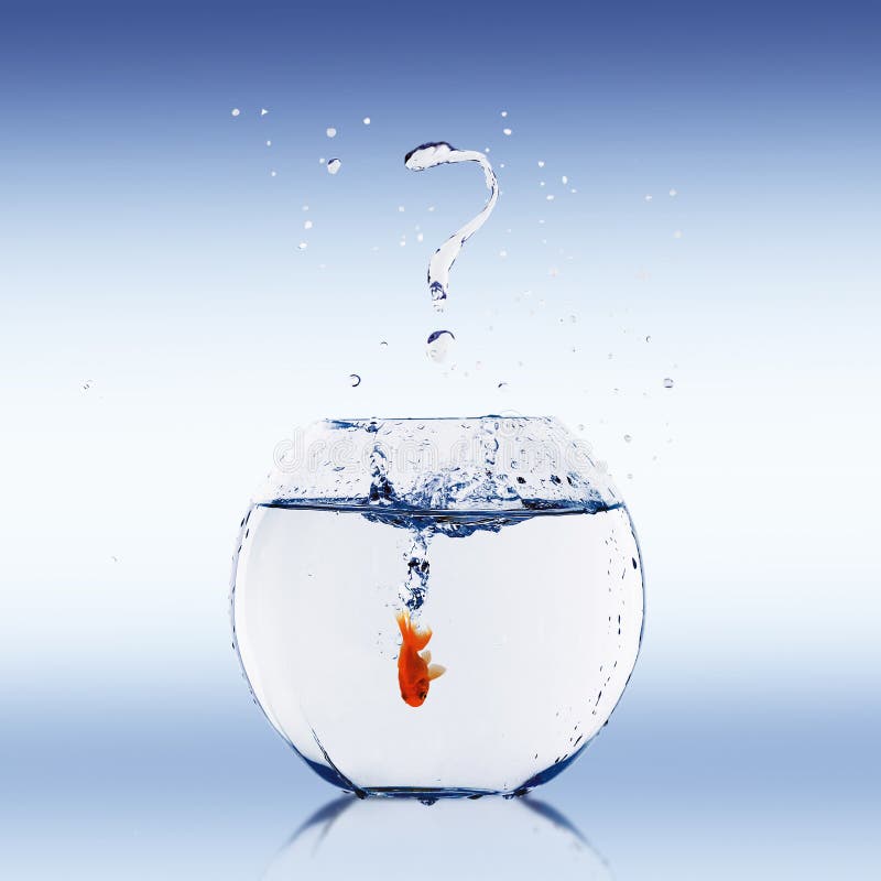 My Image 24