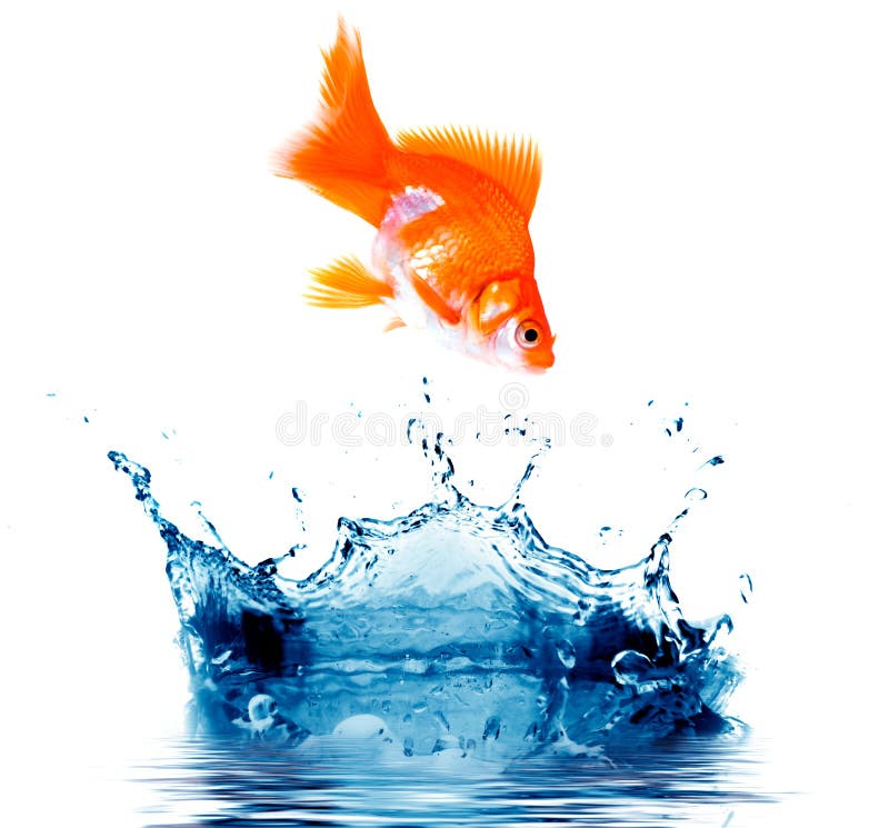 My Image 15