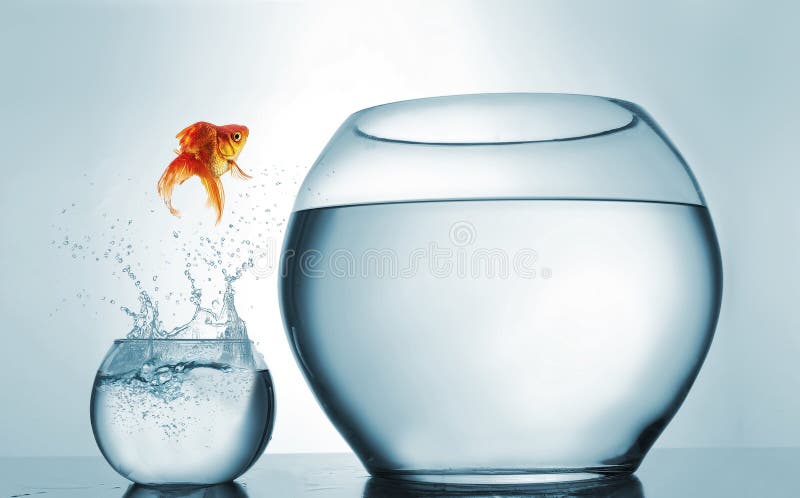Goldfish jumping in a bigger bowl - aspiration and achievement concept