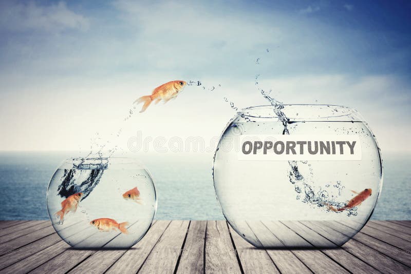 Goldfish jumping out to aquarium with opportunity text