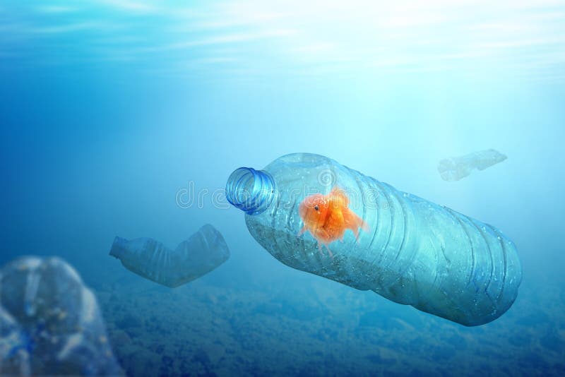 Goldfish Trapped on the Plastic Bottle on the Ocean Stock Image - Image of  ocean, ecosystem: 170533879