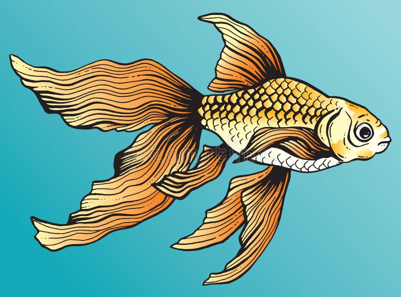 Original Pen & Ink fish drawing sketch of a goldfish on ivory