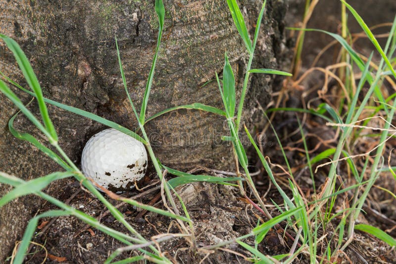 Lost Golf Ball In Tall Grass Stock Image Image of tall, lost 14255011