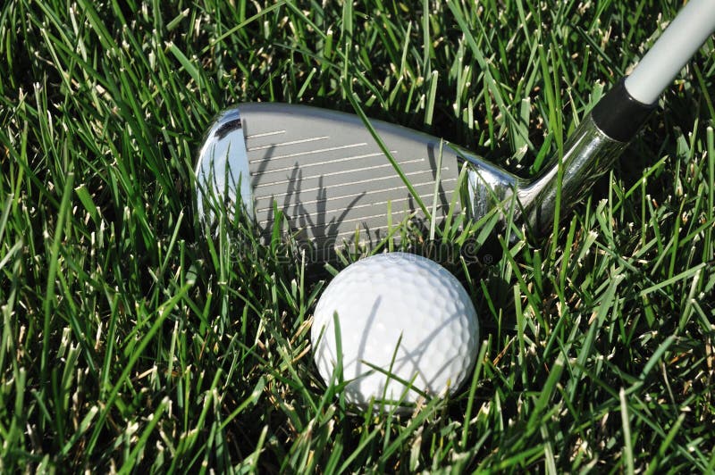 Golf Ball and Club in Long Grass Stock Image Image of ball, sport