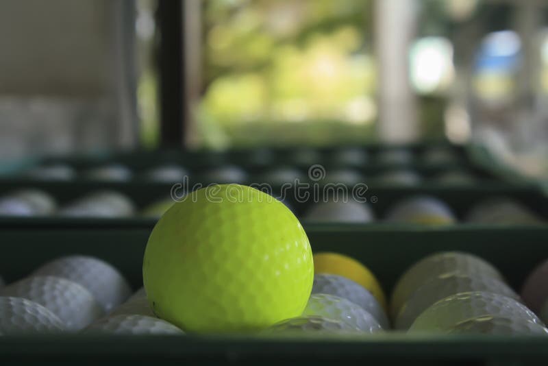 Golf Course Driving Range,Golf Ball Ready for Drive in Driving R Stock Image Image of