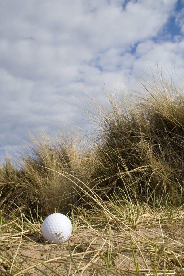 Golf ball in dunes 2