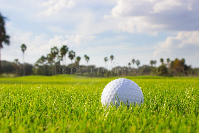 Golf Ball on Fairway stock photo. Image of grass, palm 83235682