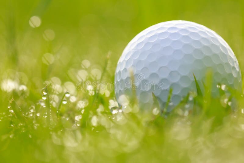 Golf Ball On Grass With Water Drops Stock Image Image of side, macro