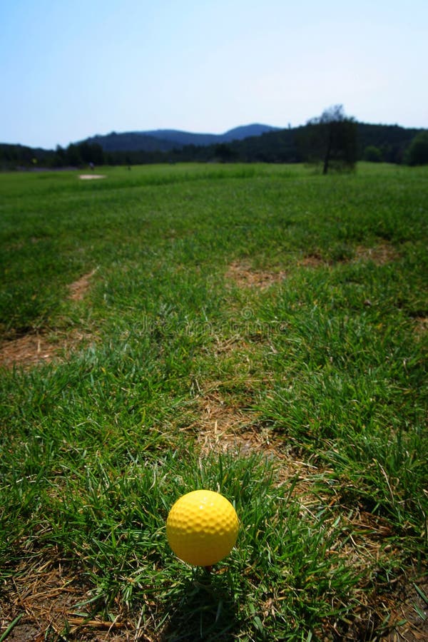 Golf Ball On Green Grass Picture. Image 1536243