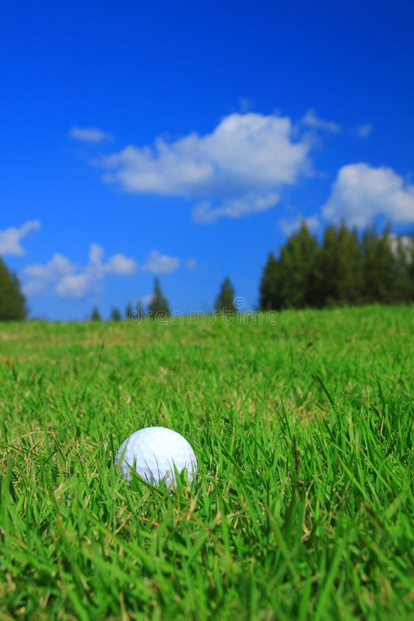 Golf Ball on Grass 2 stock photo. Image of trees, club 448088