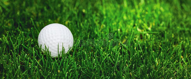 Golf ball on green grass. copy space