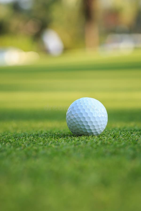 Golf Ball on Green Grass in Course Stock Image Image of game, color