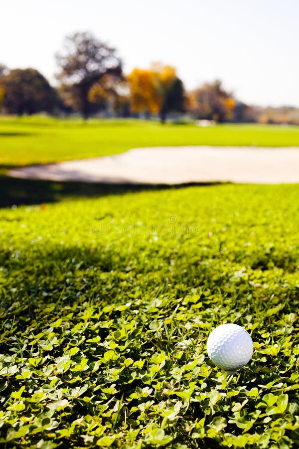 Golf ball on the green stock photo. Image of background 40448512