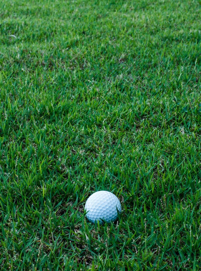 Golf ball on green grass stock image. Image of green 37924735