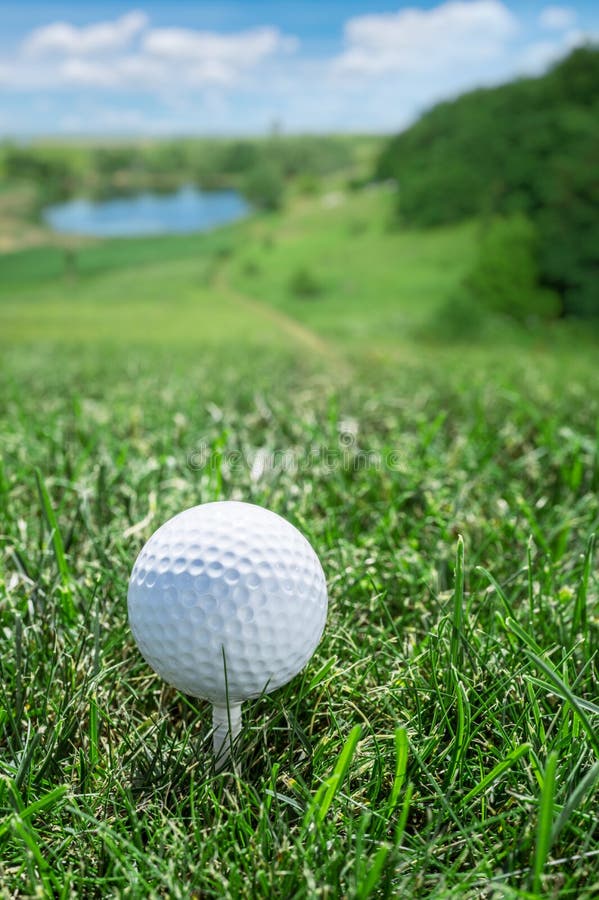 Golf Ball on the Green Grass. Stock Photo Image of resort, grass