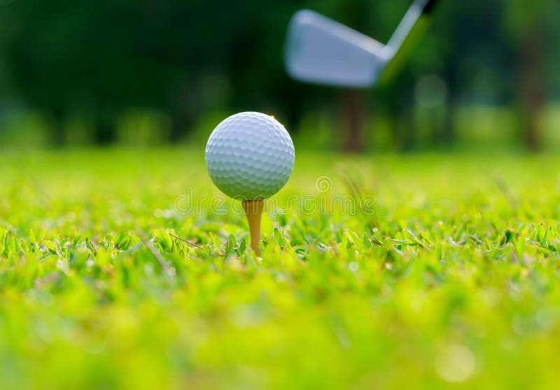 Golf Ball on Green Grass Ready To Be Struck on Golf Course Stock Image