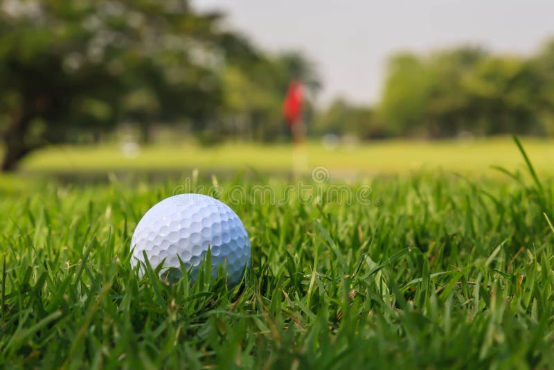 Golf ball on green grass stock photo. Image of beautiful 79135010
