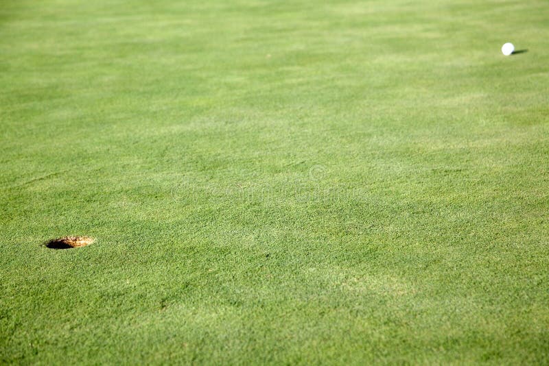 Golf Ball on Green Near Hole Stock Photo Image of heading, hole 18728650